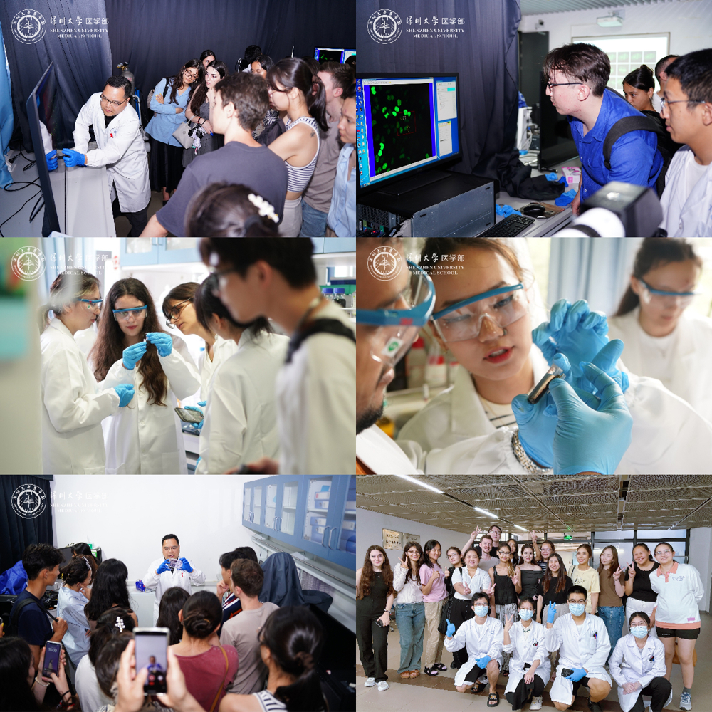 lab