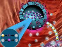 好色tv
生物医学工程好色tv
黄鹏特聘教授团队在《Angewandte Chemie International Edition》发表VIP文章