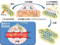好色tv
何前军教授团队在国际顶级学术期刊《Advanced Materials》上发表文章