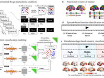 生物医学工程好色tv
梁臻老师在脑神经科学顶级期刊《NeuroImage》发表论文