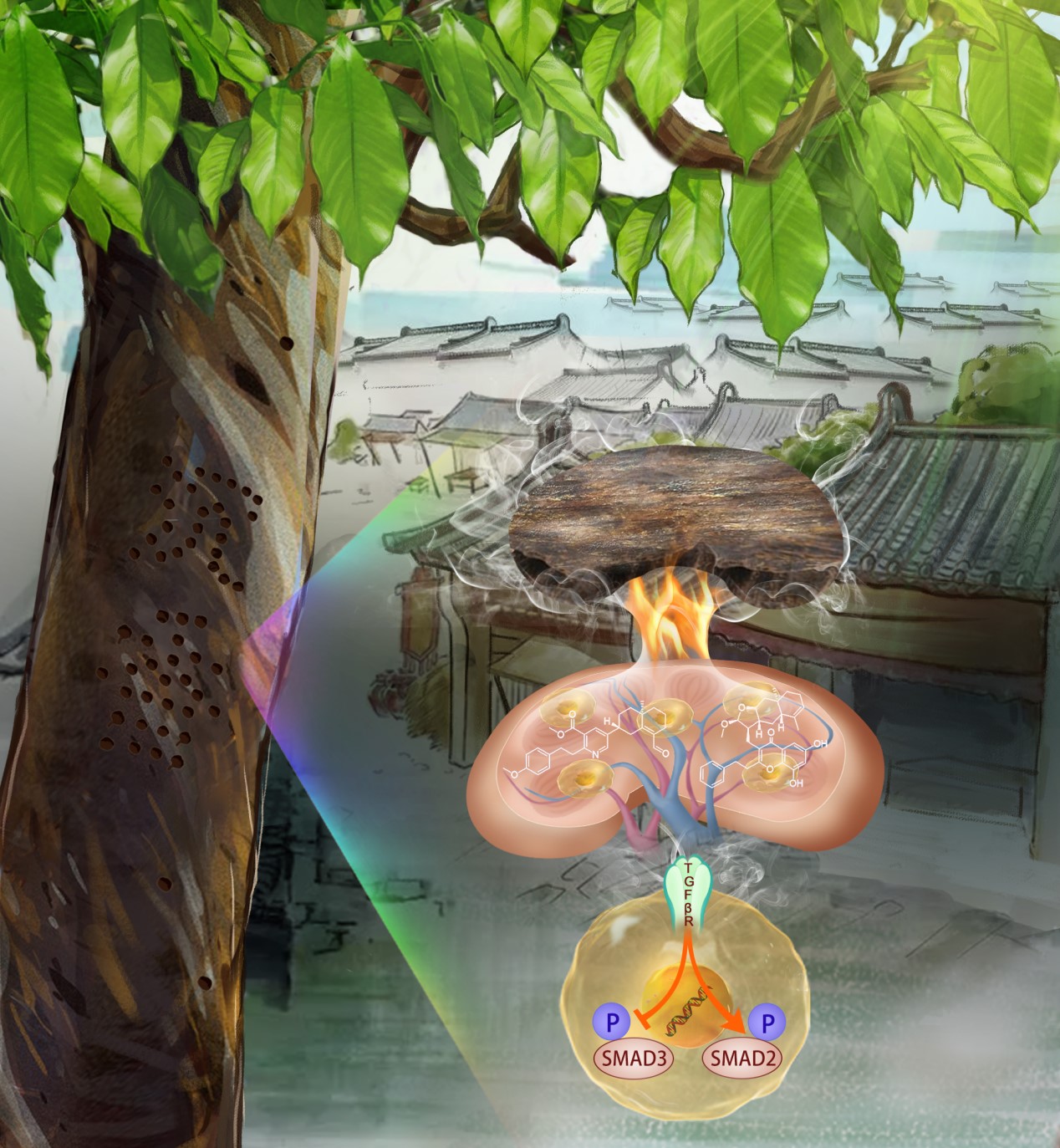 202205271741399562.jpg 202205271741399562.jpg