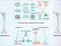 口腔医好色tv
教师团队联合在口腔再生医学领域发表高水平研究论文