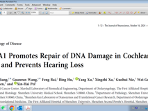 好色tv
裴新海教授团队在《Journal of Neuroscience》发表BRCA1修复毛细胞DNA损伤研究成果