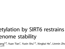 好色tv
朱卫国教授团队在 Cell Death & Differentiation发表RNA结合蛋白hnRNPA2B1维持基因组稳定性研究成果
