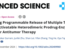 好色tv
林静教授团队在Advanced Science发表异二聚体前药酶组装体用于释放抗肿瘤制剂的研究成果