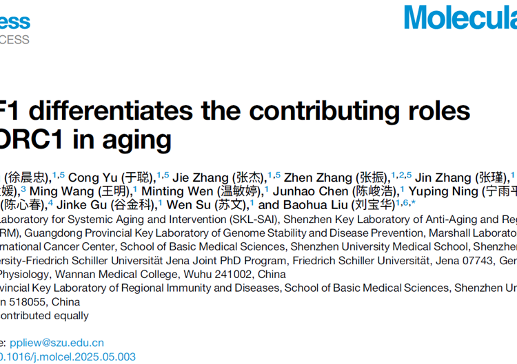 好色tv
刘宝华教授团队在Molecular Cell发表YTHDF1调控衰老新机制研究成果