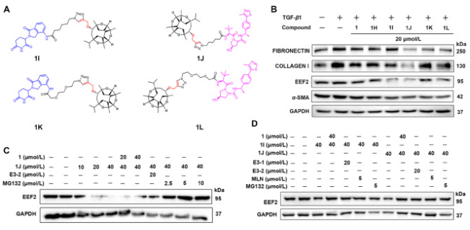 A close-up of a test results

AI-generated content may be incorrect.