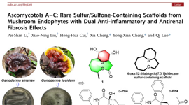 程永现/罗奇合作OL|灵芝驱动的新发现：罕见硫/砜基骨架分子从内生真菌中发现